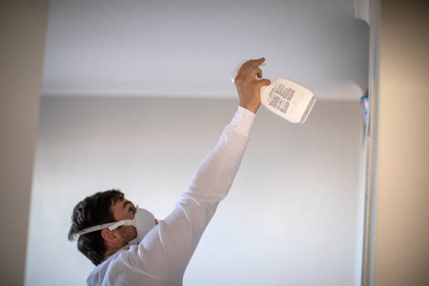 Best Same-Day Mold Removal  in Rossville, KS