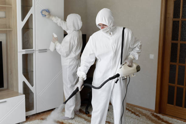 Best Mold Damage Repair  in Rossville, KS