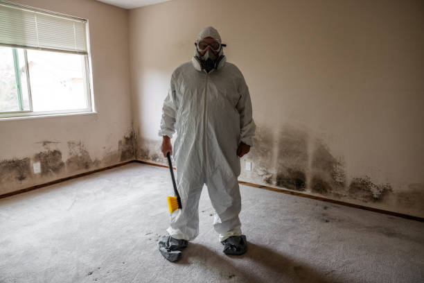 Best Mold Testing  in Rossville, KS